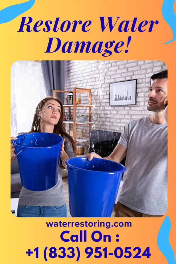 water restoration Prime Cleanup Professionals Pringle