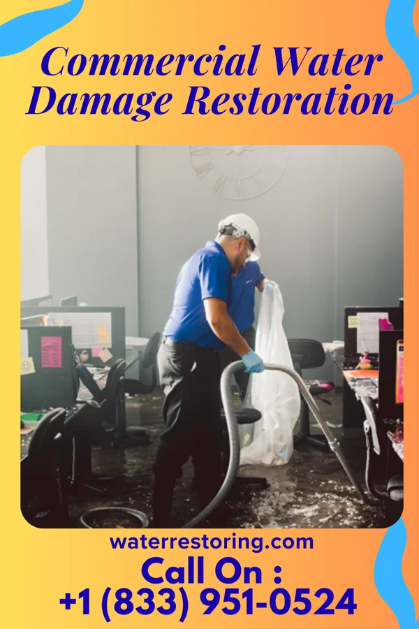 Commercial Water Damage Restoration in Pringle, SD